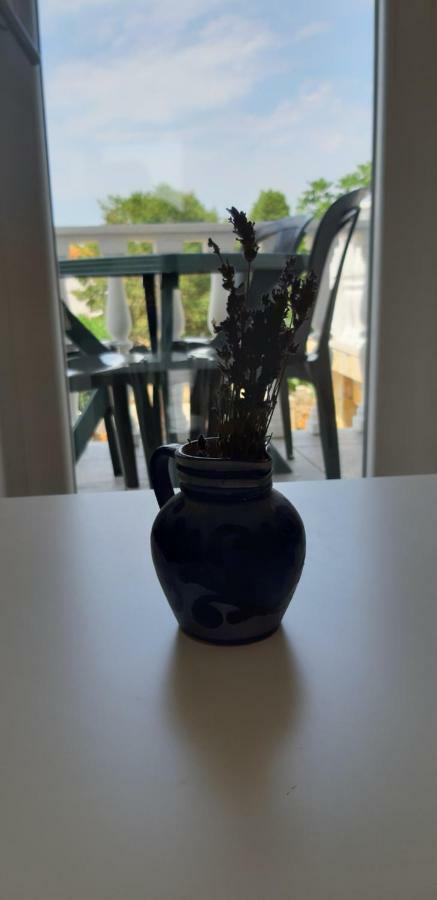 Apartments Max Vir Zewnętrze zdjęcie