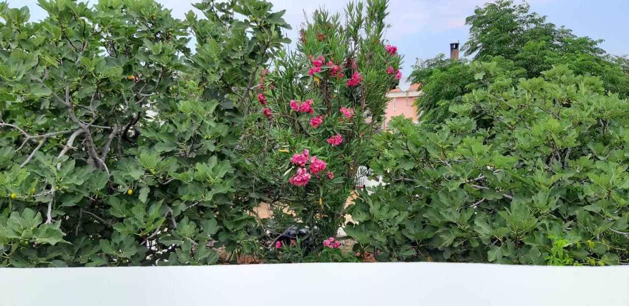 Apartments Max Vir Zewnętrze zdjęcie